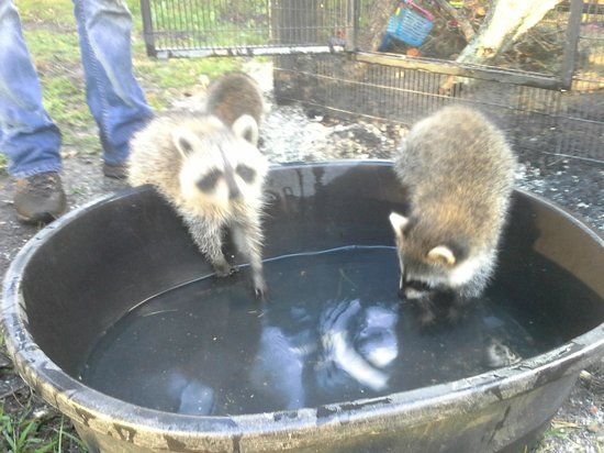 Back to Nature Wildlife Refuge